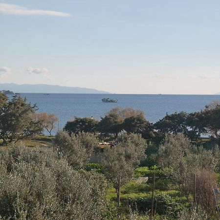 Mina'S Studios In Naxos Island Agios Prokopios  Eksteriør billede