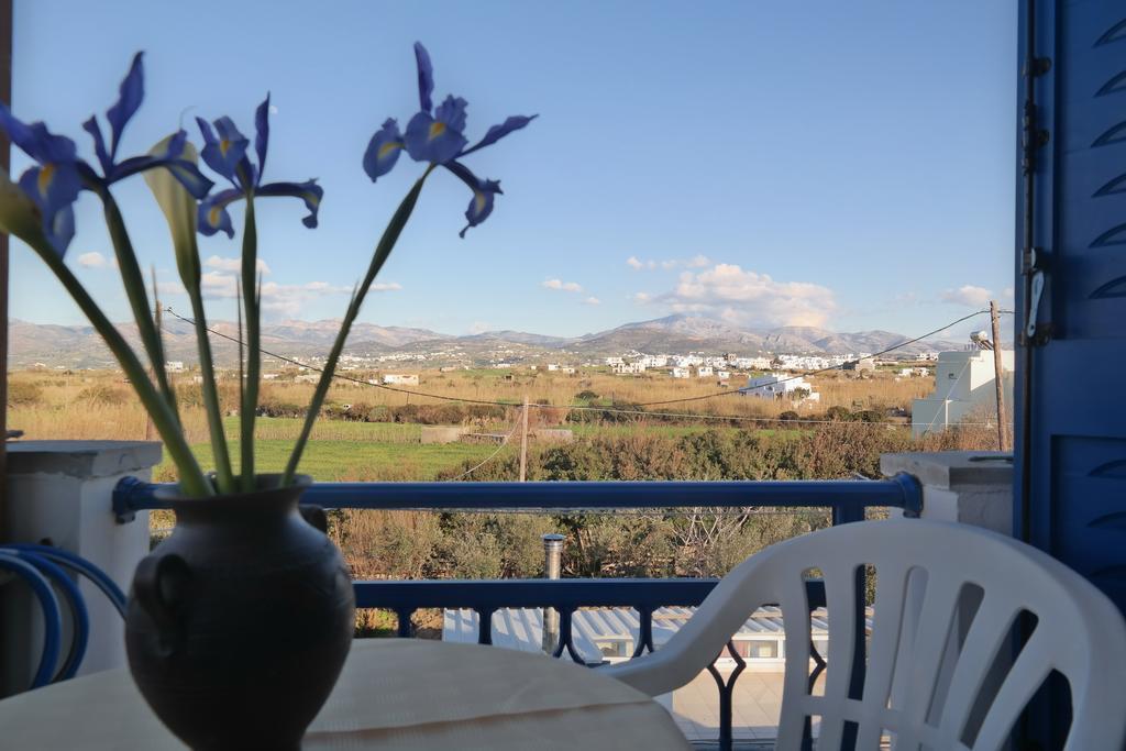 Mina'S Studios In Naxos Island Agios Prokopios  Eksteriør billede