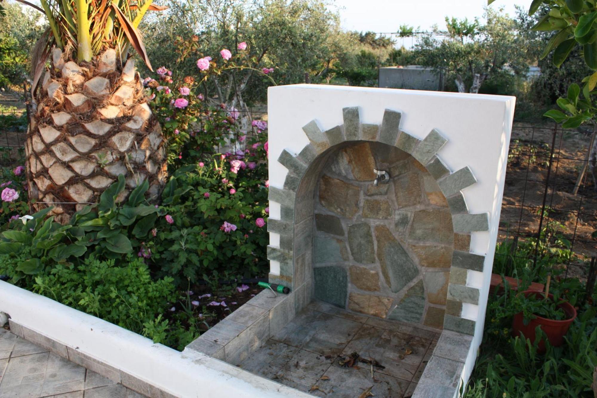 Mina'S Studios In Naxos Island Agios Prokopios  Eksteriør billede