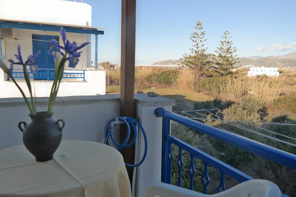 Mina'S Studios In Naxos Island Agios Prokopios  Værelse billede